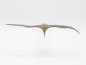 Preview: Pterodactyl (Series 1) Action Figure – Dino Riders 1988 – loose, very good condition