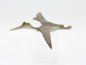 Preview: Pterodactyl (Series 1) Action Figure – Dino Riders 1988 – loose, very good condition