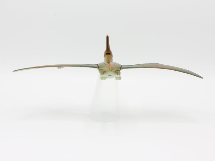 Pteranodon (Series 1) Action Figure – Dino Riders 1988 – loose, good condition