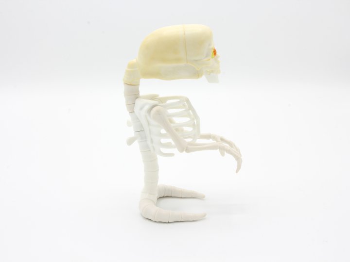 Preview: Bad-to-the-Bone Ghost Action Figure – Ghostbusters 1987 – complete, acceptable condition